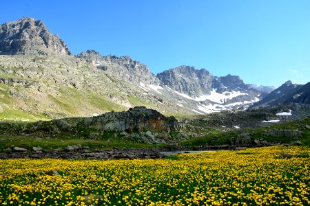 Wilderness Vegetation Mount Scenery Wildflower photo