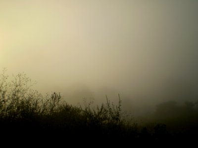 Fog Mist Sky Atmosphere photo