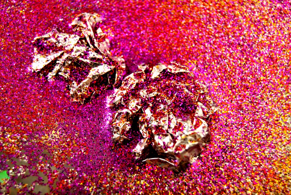 Flora Organism Petal Magenta
