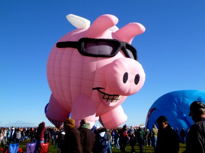 Balloon Hot Air Ballooning Mascot Hot Air Balloon photo