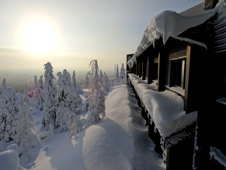 Snow Winter Freezing Sky