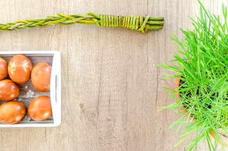 Natural Foods Local Food Carrot Grass