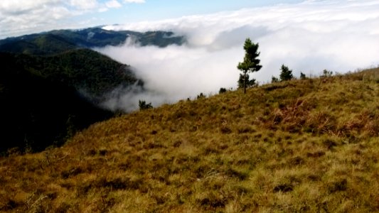 Highland Wilderness Ridge Vegetation photo
