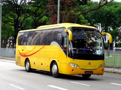 Bus Motor Vehicle Transport Tour Bus Service