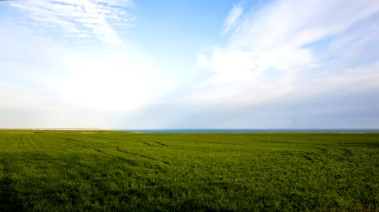 Grassland Sky Field Ecosystem