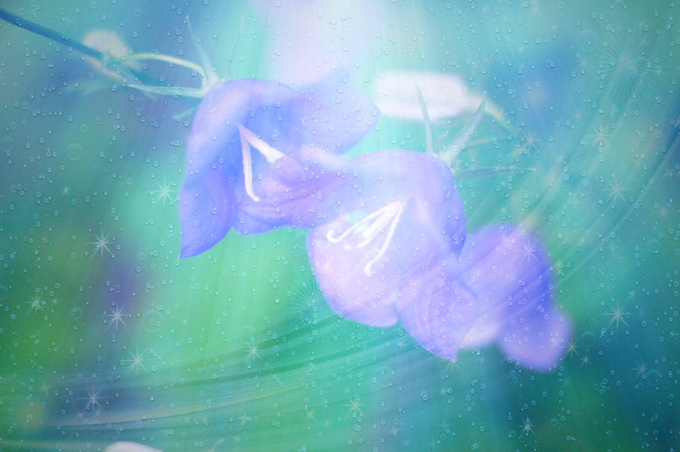 Blue Sky Purple Atmosphere