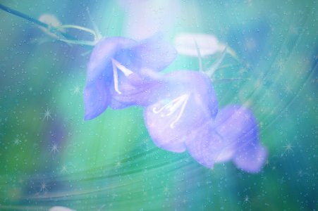 Blue Sky Purple Atmosphere