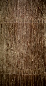 Wood Brown Wall Pattern photo