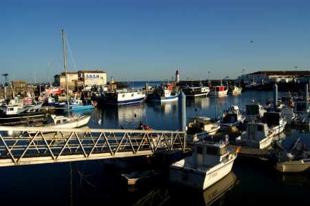 Marina Harbor Water Body Of Water