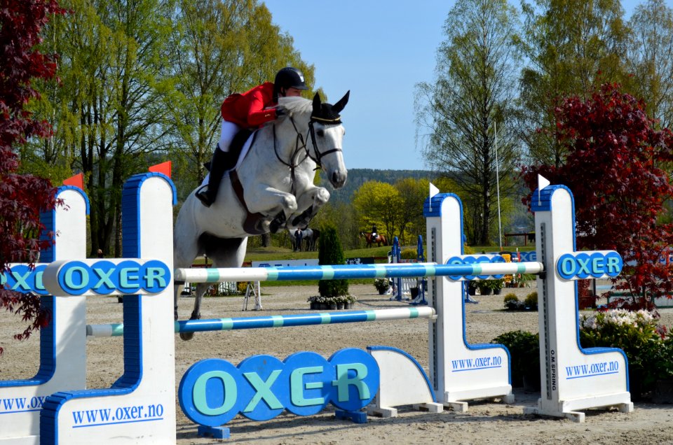 English Riding Horse Show Jumping Equestrianism