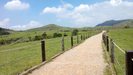 Grassland Pasture Nature Reserve Path
