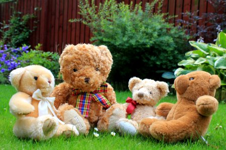 Stuffed Toy Teddy Bear Toy Plush photo