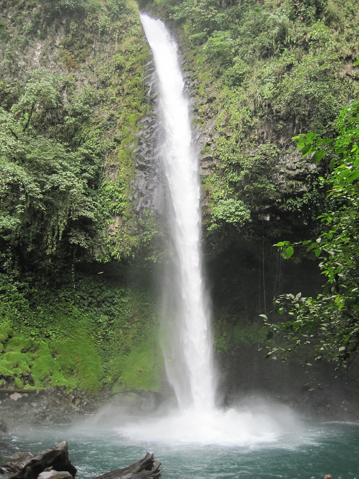 Water rainforest landscape