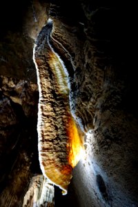 Formation Cave Organism Stalactite photo
