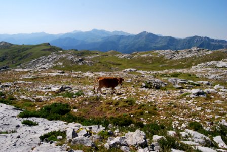 Mountain Wilderness Mountainous Landforms Tundra photo