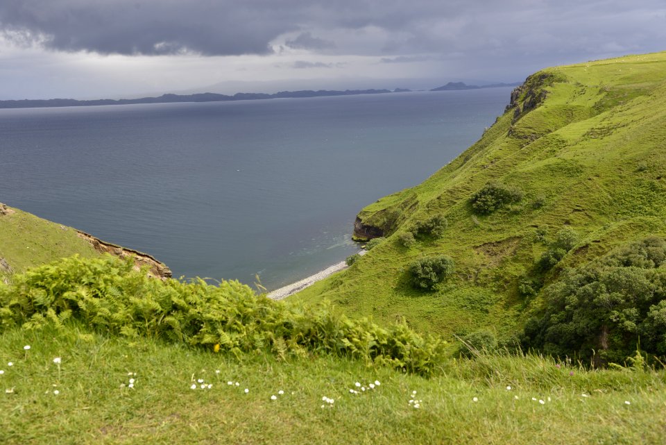 Highland Coast Headland Vegetation