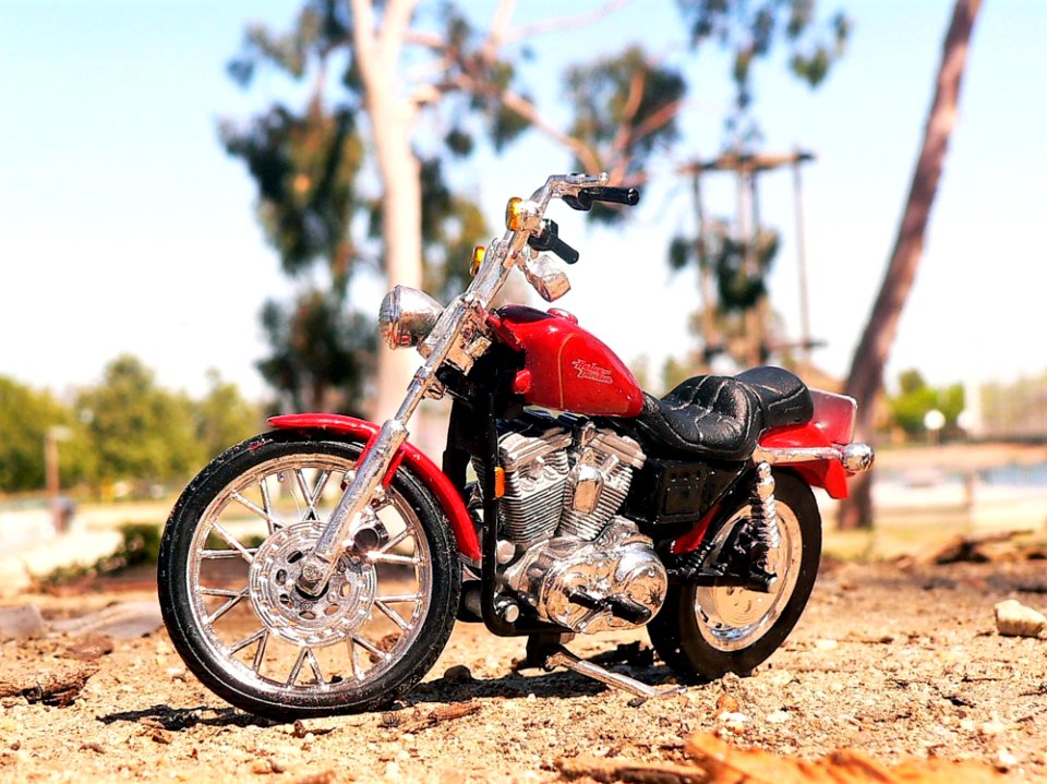 Motorcycle Motorcycling Vehicle Motor Vehicle