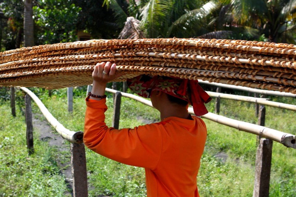 Plant Tree Agriculture Outdoor Structure