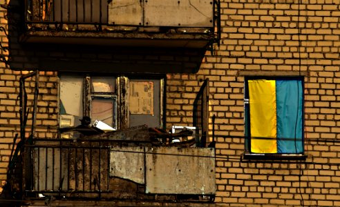 Yellow Wall Window Brick