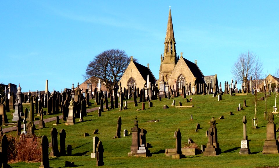 Spire Place Of Worship Tree Historic Site