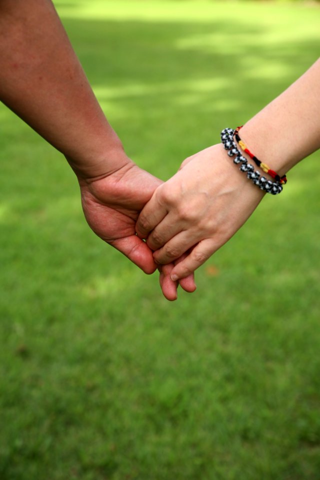 Photograph Hand Grass Holding Hands
