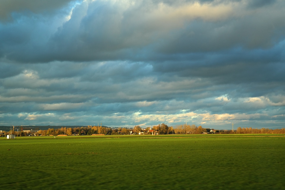 Meadow grass green