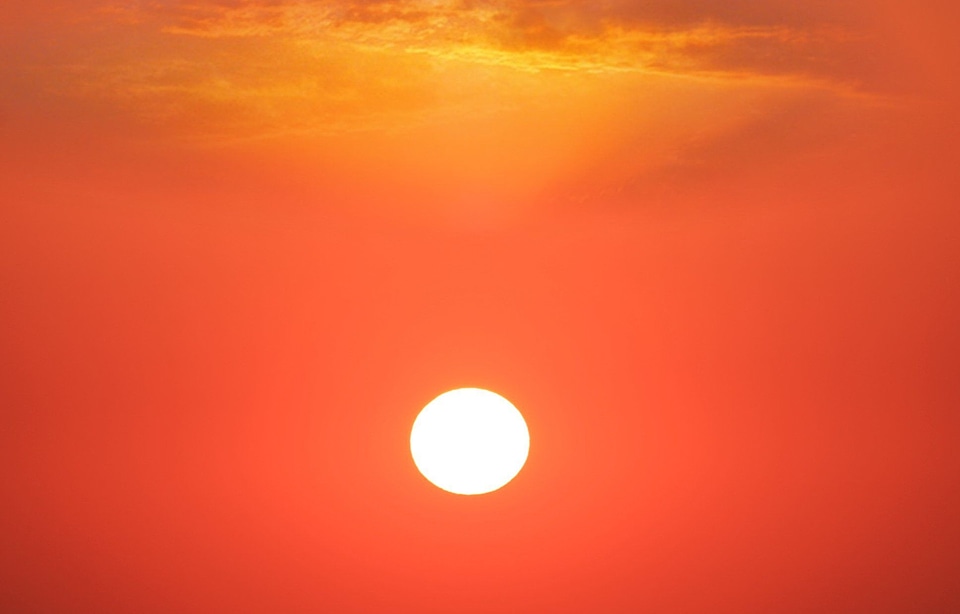 Red summer freedom