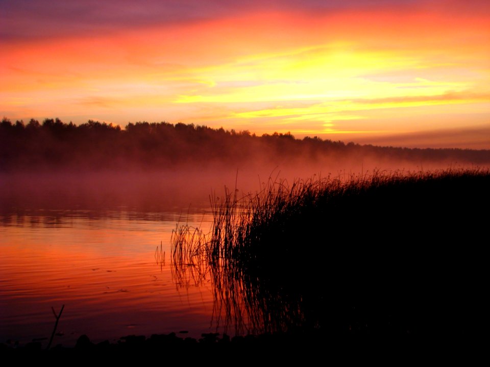 Red Sky At Morning Sunrise Sky Dawn photo