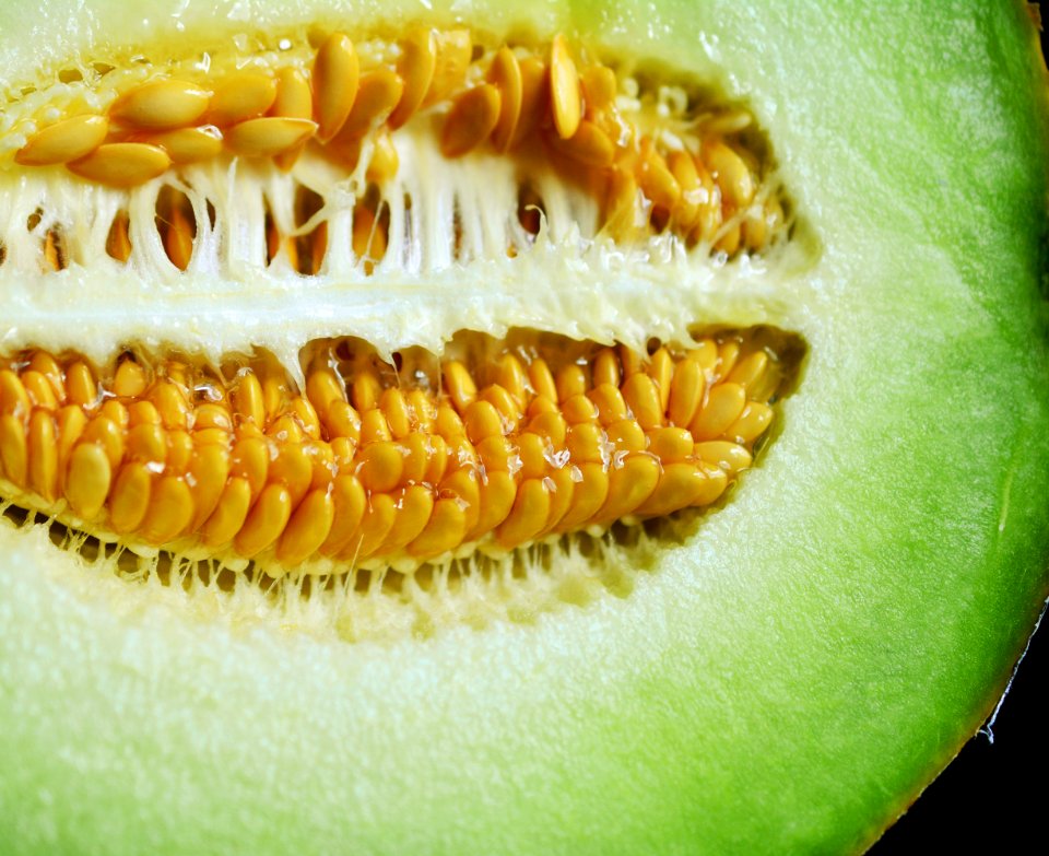 Melon Fruit Galia Food