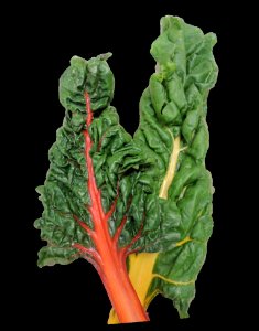 Rainbow Chard