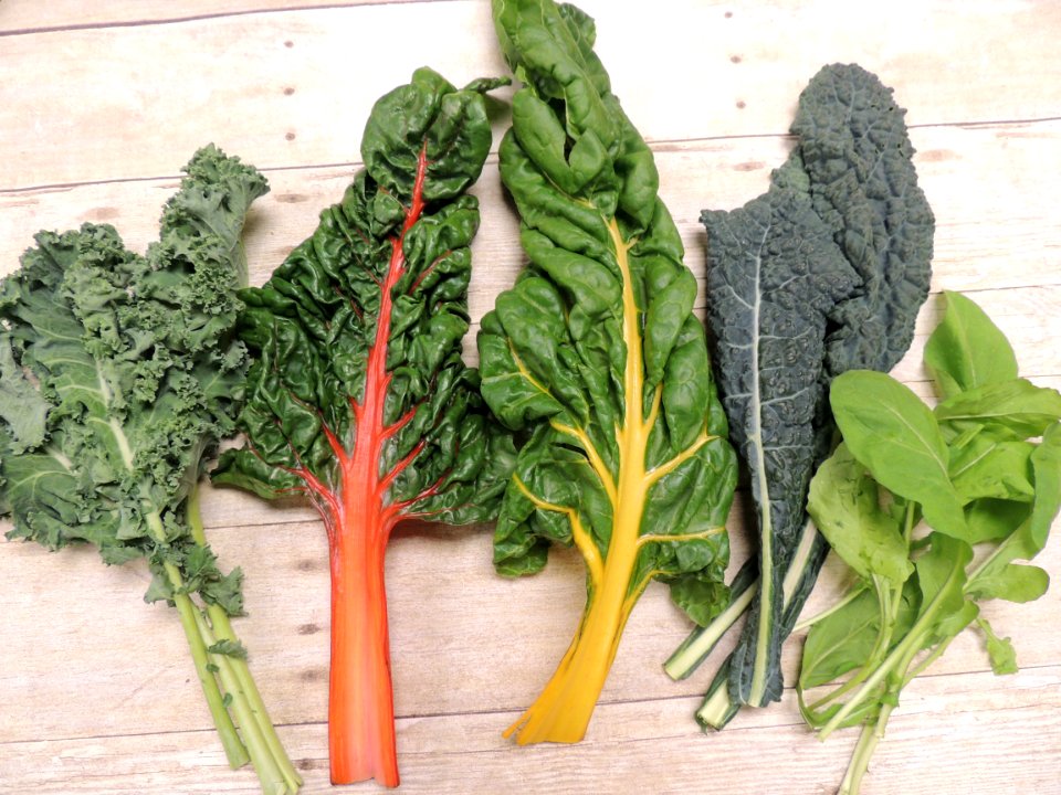 Leafy Greens Collage