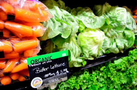 Organic Vegetables photo