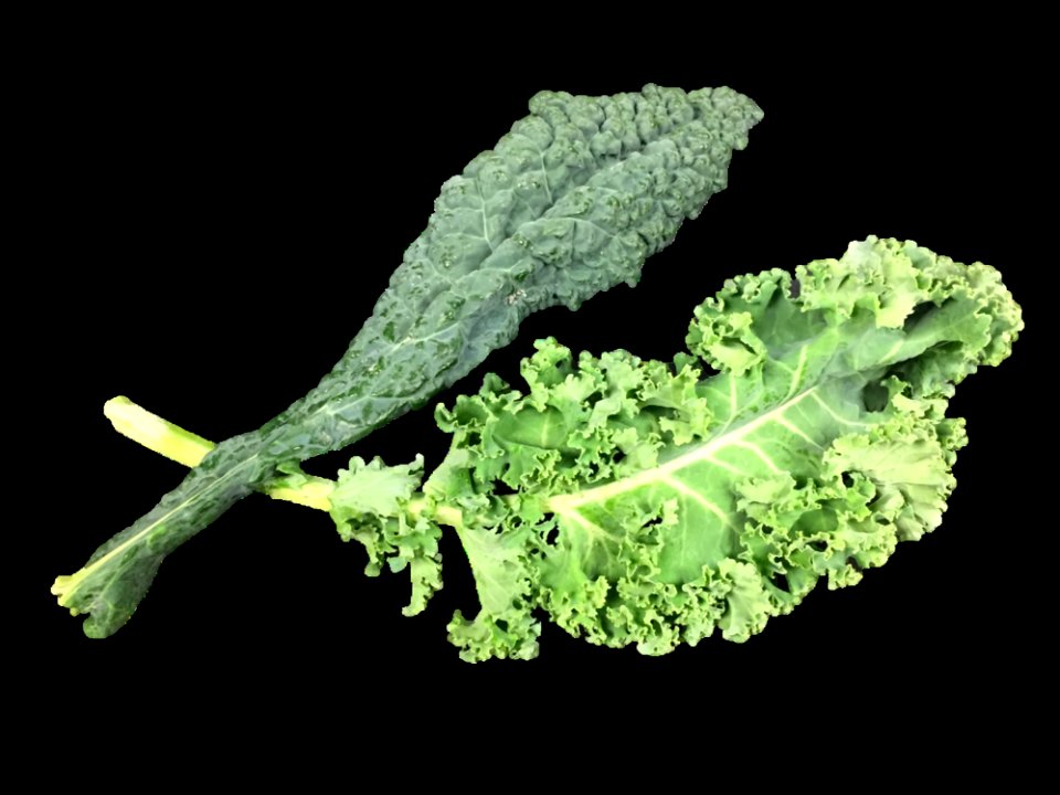 Kale_Curly And Lacinato (aka Dinosaur Or Tuscan)