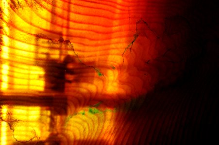 Tree Rings, People Talk