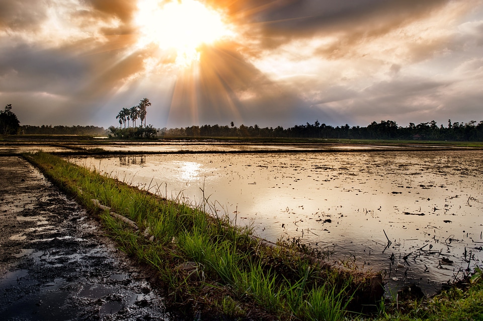 Landscape wilderness scenery