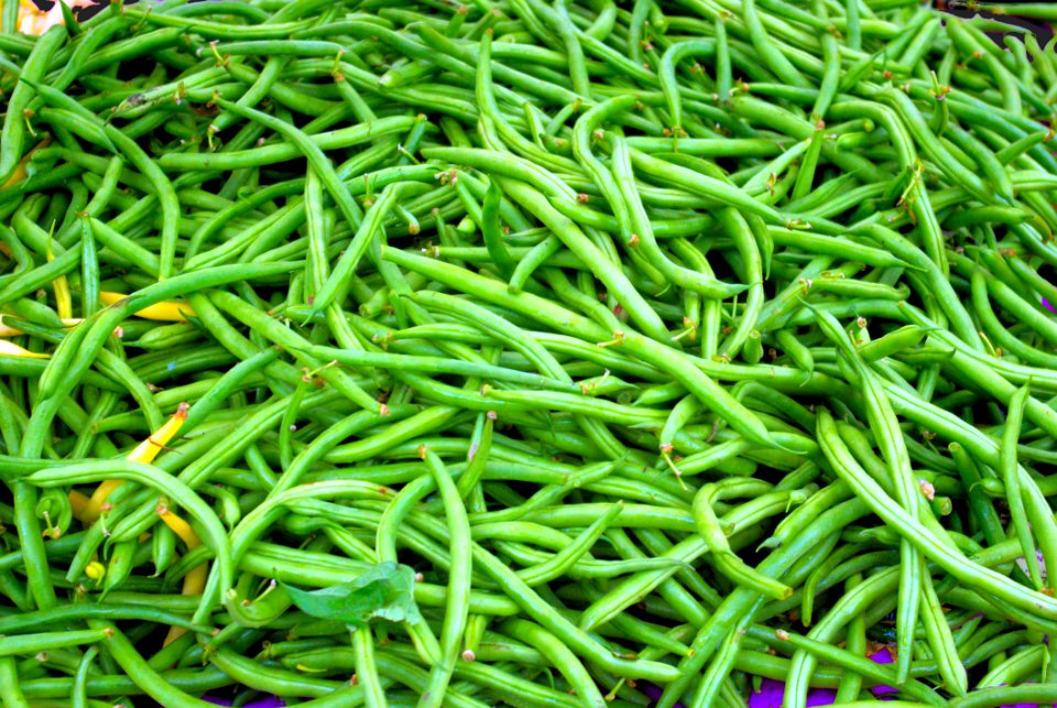 Farmers Market, At The Wisconsin State Capitol, Madison, Wisconsin, September 13, 2008
