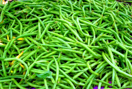 Farmers Market, At The Wisconsin State Capitol, Madison, Wisconsin, September 13, 2008