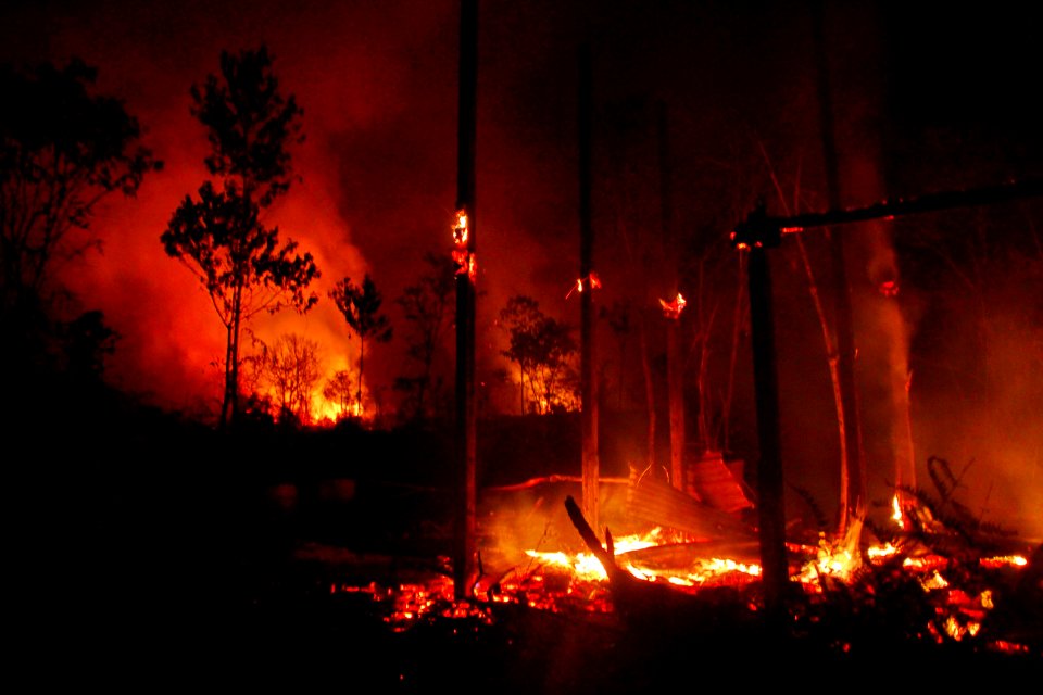 Bario Bush Fire Casualty 3