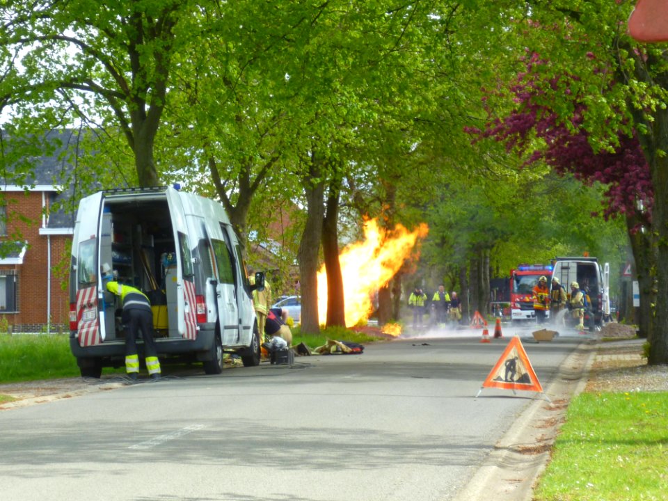 Motor Vehicle, Tree, Transport, Asphalt