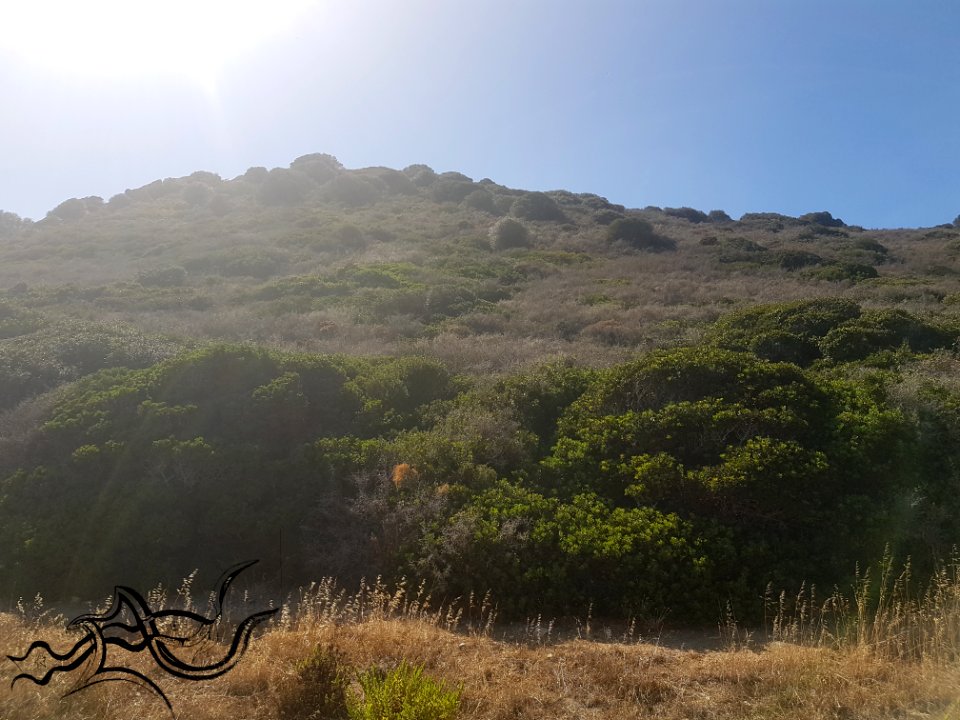  EXploration | Corsica  Corse (South) | NatureCity