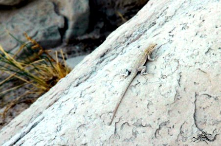  EXploration | West Coast USA  CityNature