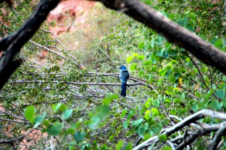  EXploration | West Coast USA  CityNature