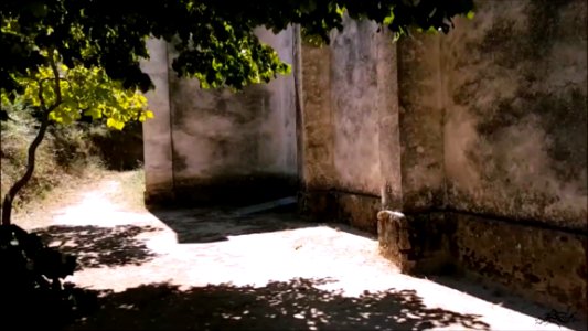  EXploration 6  Church Saint Nicolas Pitretu, Bicchisgi (Corsica) France  Monument