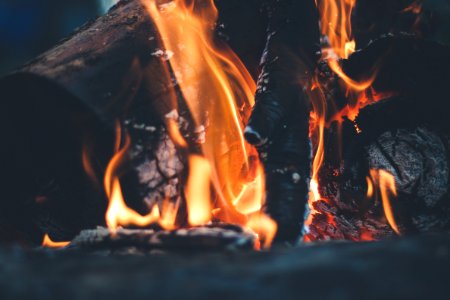 Fire Wood Burning photo