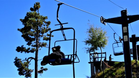 Ski Lift On Top Of Mt Lemmon