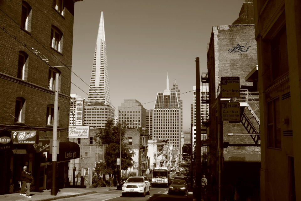  EXploration | West Coast USA  CityNature
