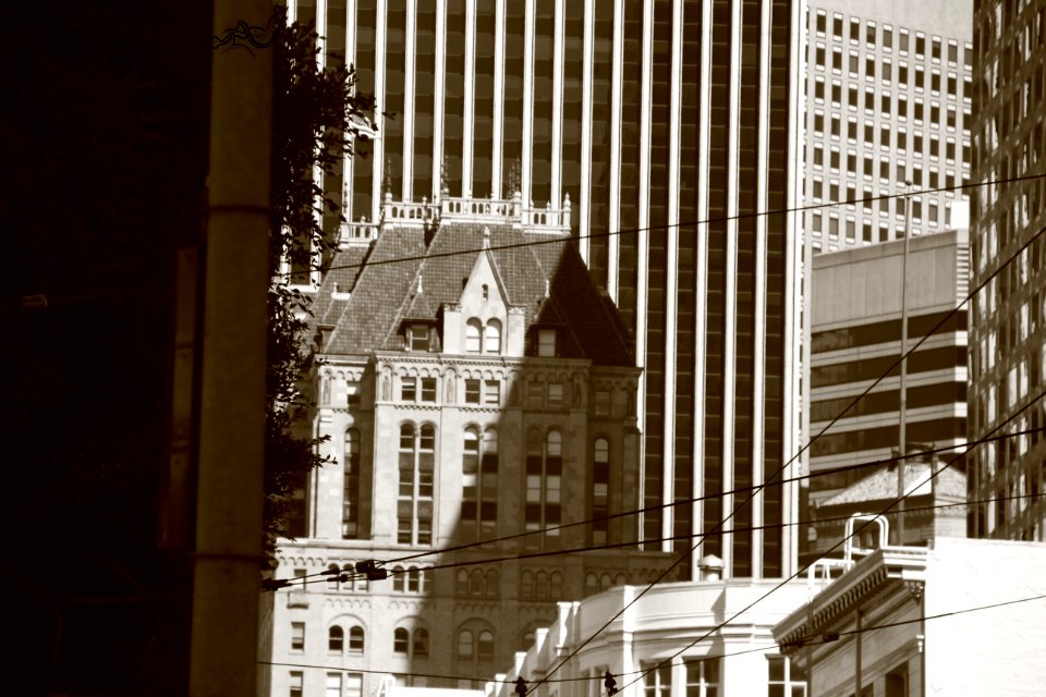  EXploration | West Coast USA  CityNature