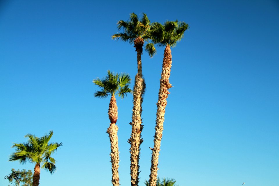 EXploration | West Coast USA  CityNature
