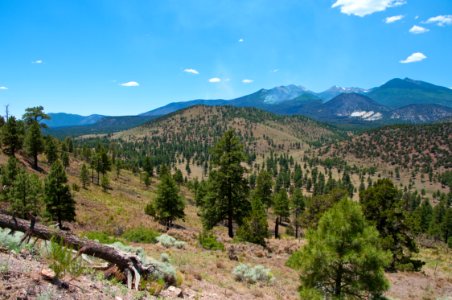 Schultz Fire