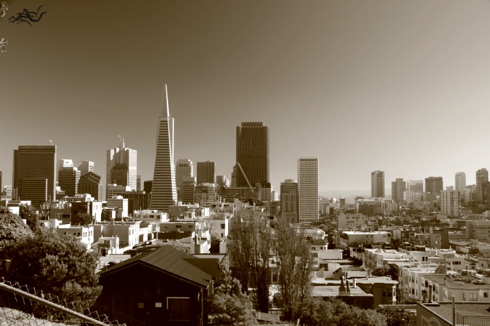  EXploration | West Coast USA  CityNature